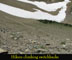 Hikers on Ptarmigan Trail