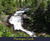 Ptarmigan Creek